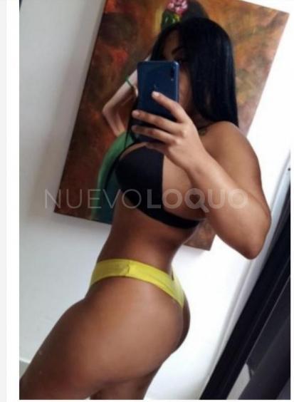 NuevoLoquo3