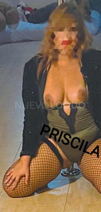 NuevoLoquo1