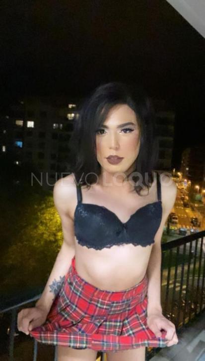 NuevoLoquo3