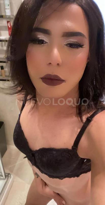 NuevoLoquo5