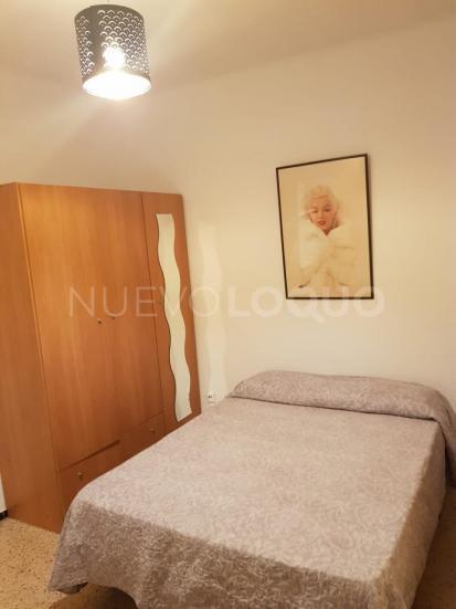 NuevoLoquo3