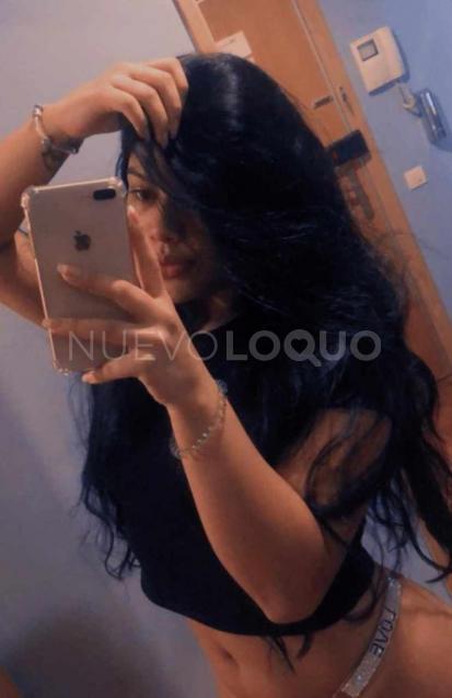 NuevoLoquo3