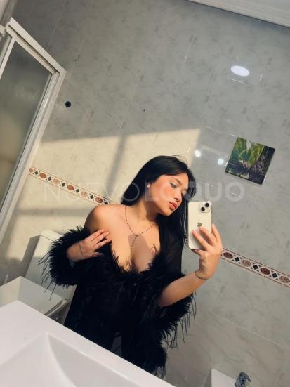 NuevoLoquo3
