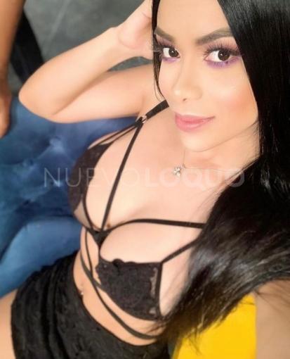 NuevoLoquo3