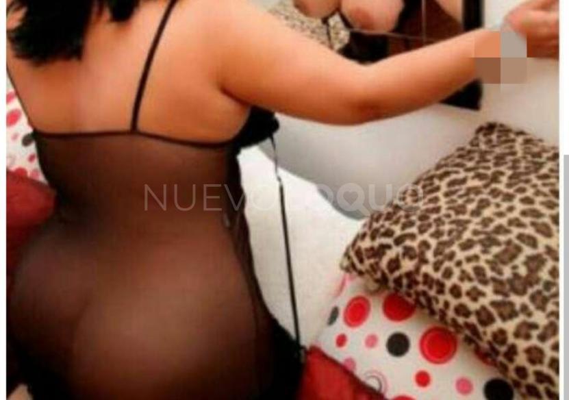 NuevoLoquo3