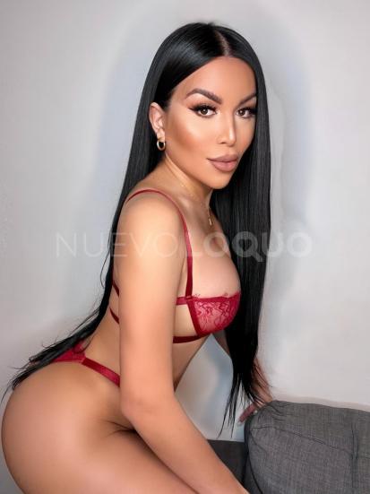 NuevoLoquo1