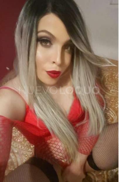 NuevoLoquo2