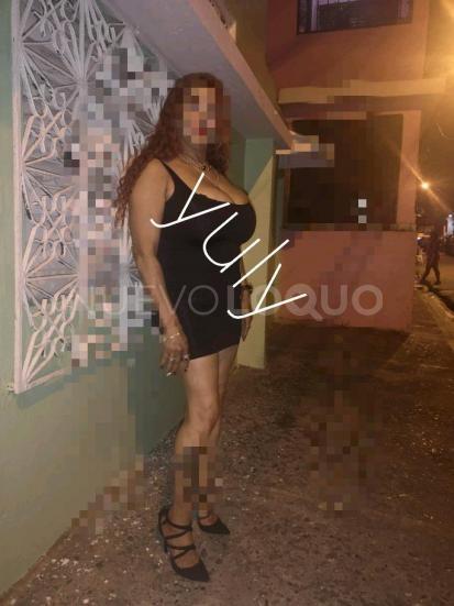NuevoLoquo3