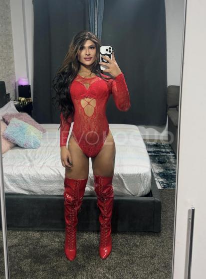 NuevoLoquo5