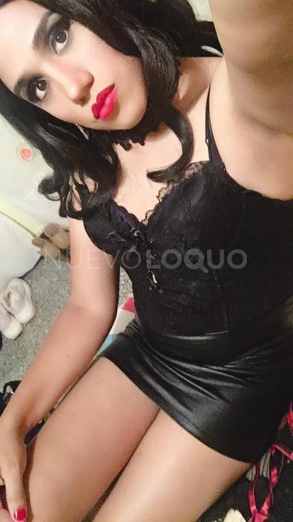NuevoLoquo3