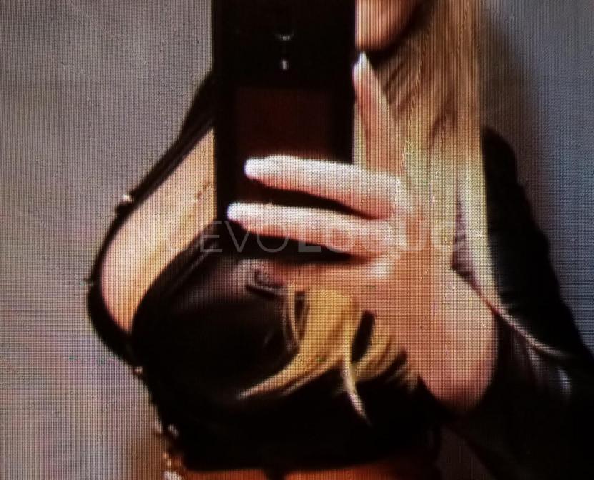 NuevoLoquo1