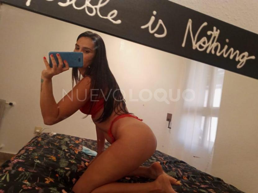 NuevoLoquo4