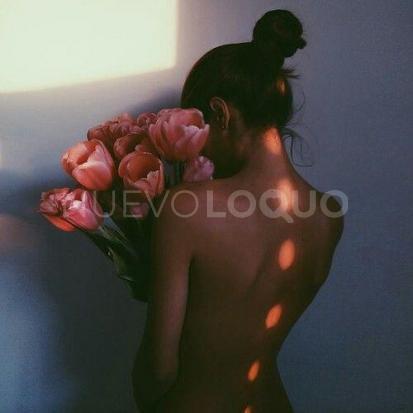 NuevoLoquo0