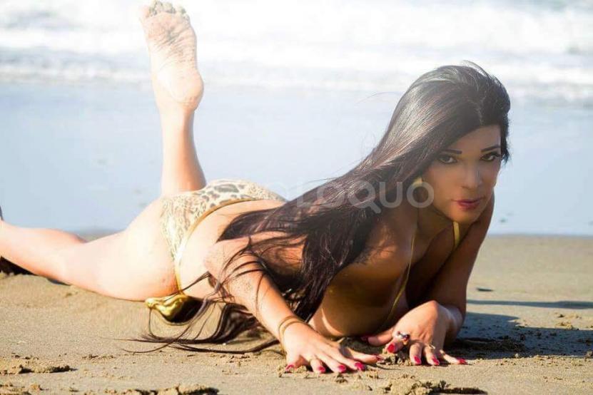 NuevoLoquo3