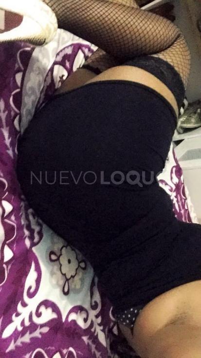 NuevoLoquo1