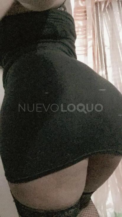 NuevoLoquo3