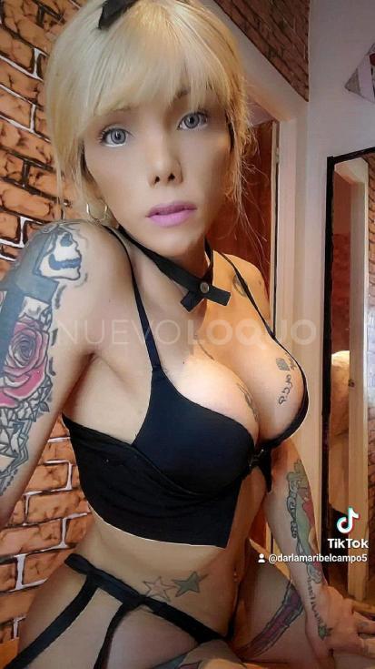 NuevoLoquo3