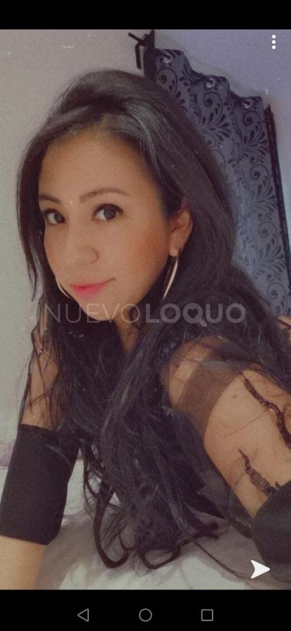 NuevoLoquo3
