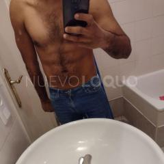 Novedad latino  