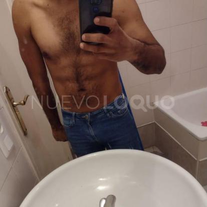  Novedad latino  