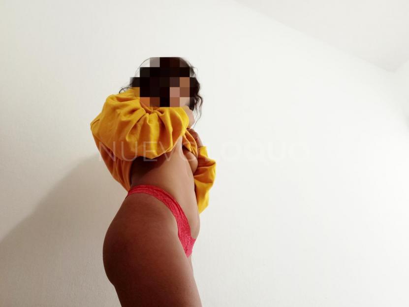 NuevoLoquo2