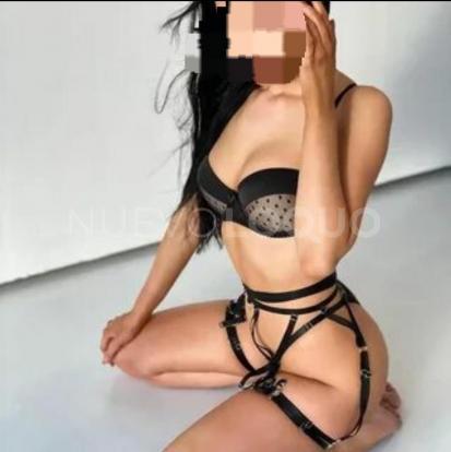 NuevoLoquo1