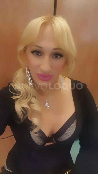 NuevoLoquo3