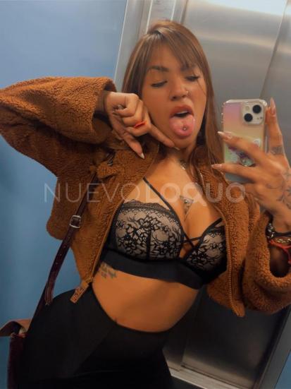 NuevoLoquo3
