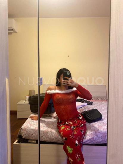 NuevoLoquo3