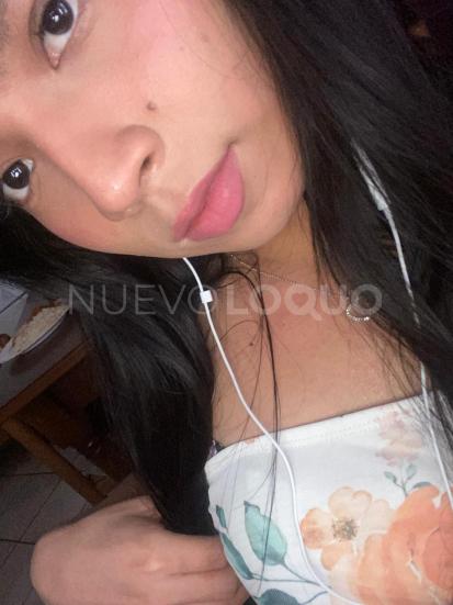 NuevoLoquo4
