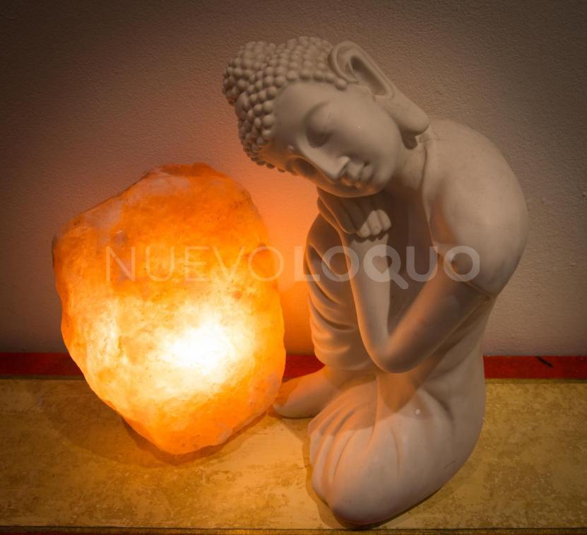 NuevoLoquo0