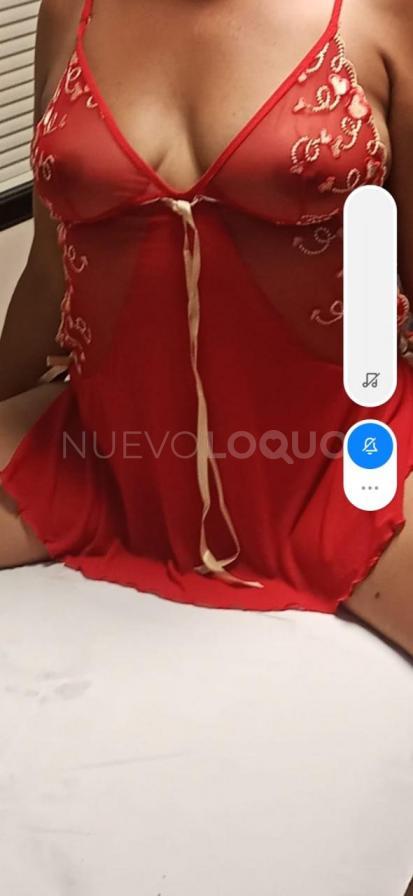 NuevoLoquo1