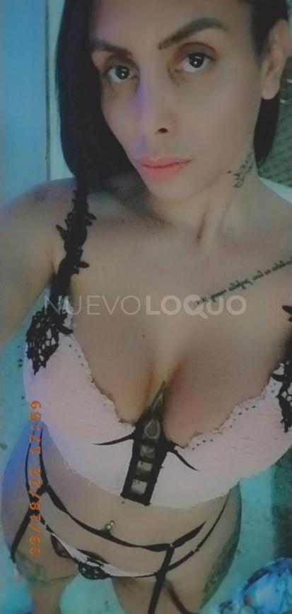NuevoLoquo5