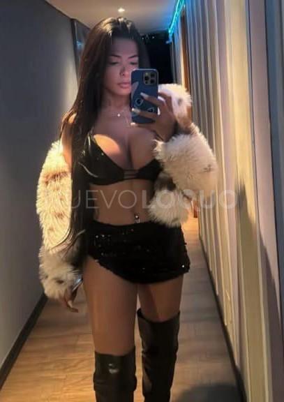 NuevoLoquo3