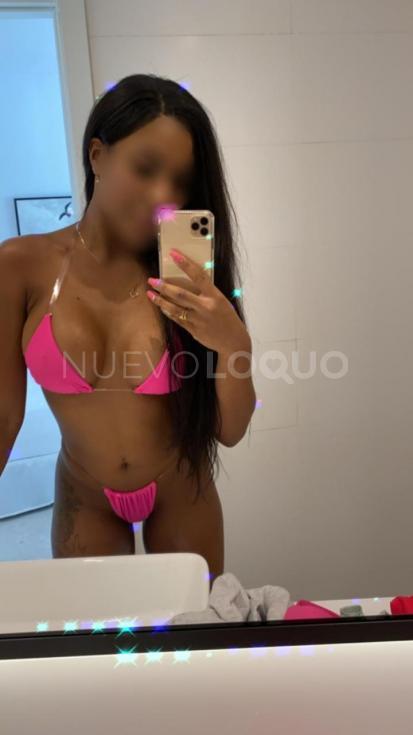 NuevoLoquo3