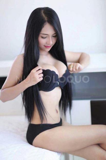NuevoLoquo2