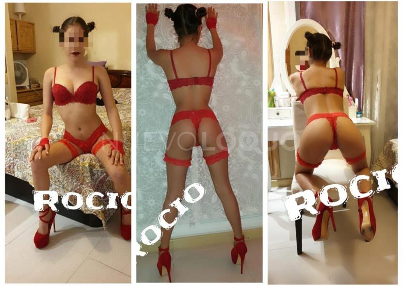 NuevoLoquo2