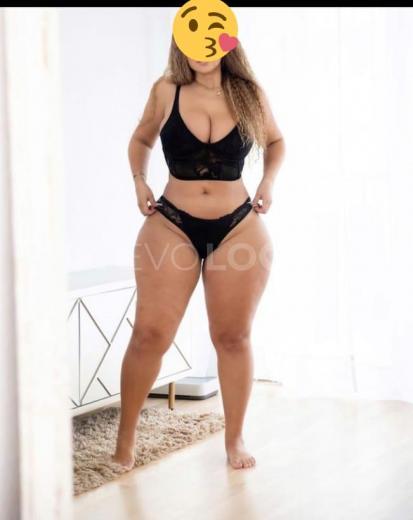 NuevoLoquo2