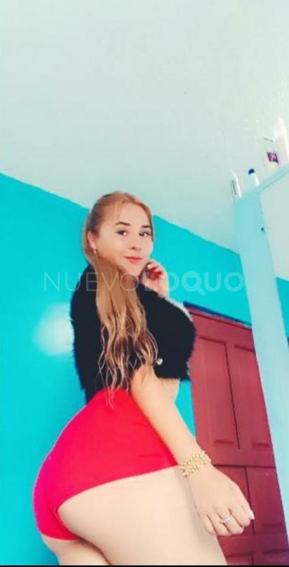NuevoLoquo3