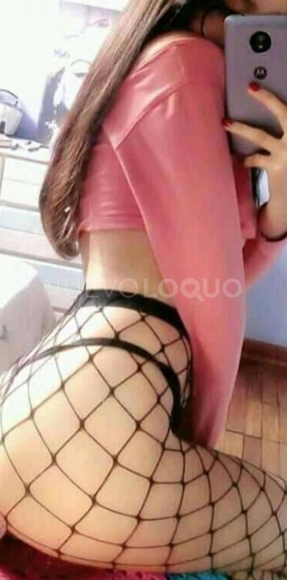 NuevoLoquo2