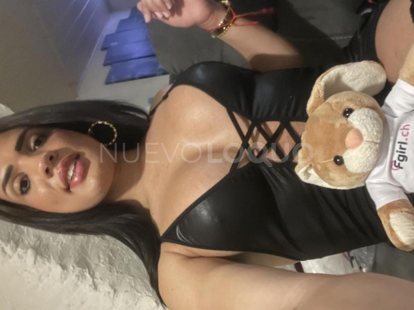 NuevoLoquo3