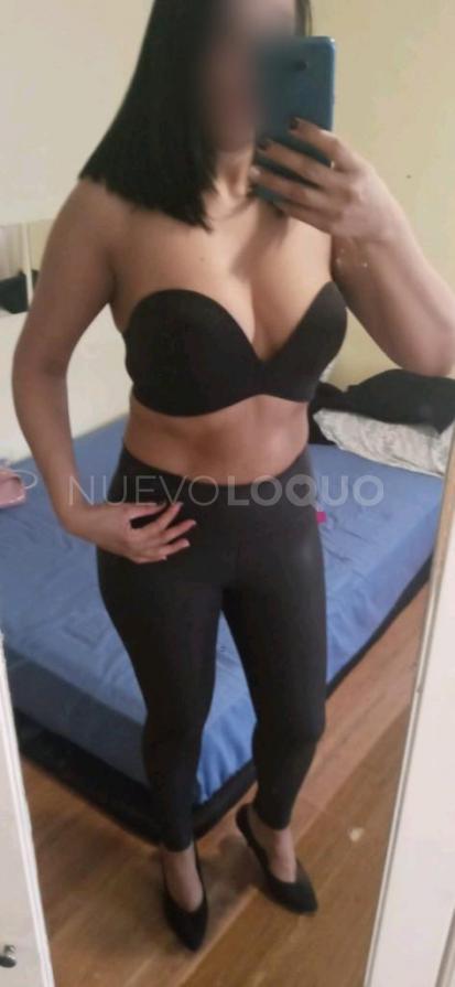 NuevoLoquo2