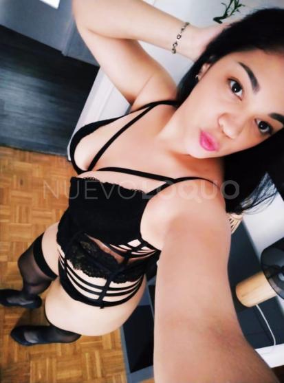 NuevoLoquo2