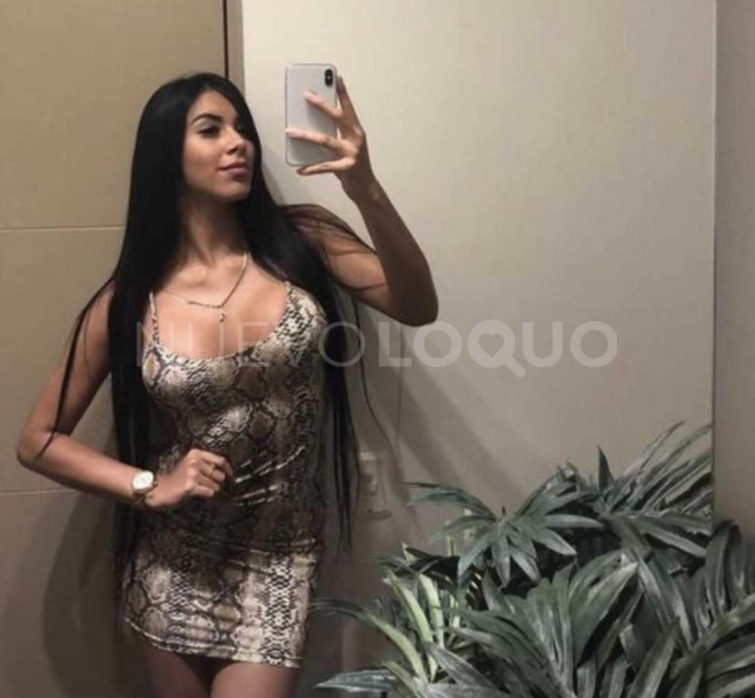 NuevoLoquo2