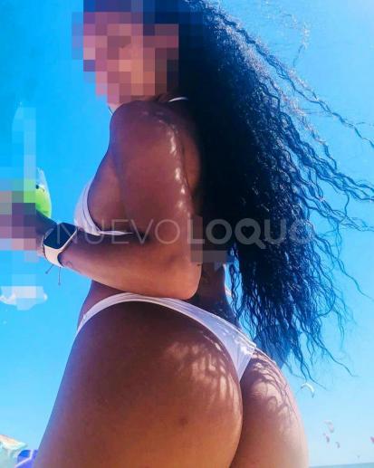 NuevoLoquo3