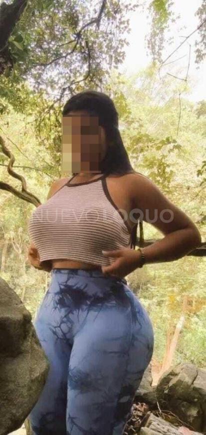 NuevoLoquo4
