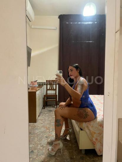 NuevoLoquo2