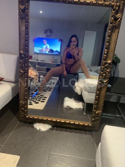 NuevoLoquo2