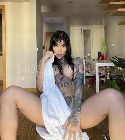 NuevoLoquo2