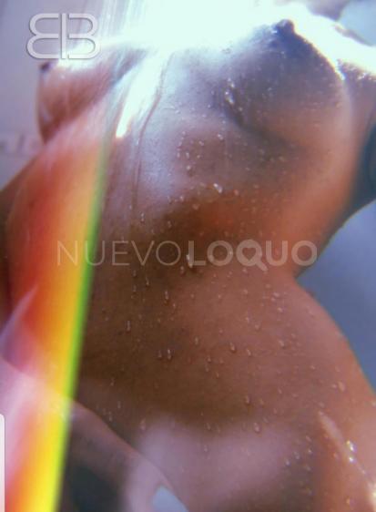 NuevoLoquo1